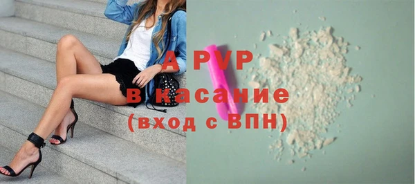 стафф Верея