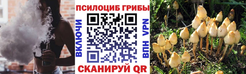 Псилоцибиновые грибы мицелий где купить наркоту MEGA как войти Салават